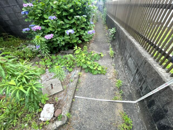 現況画像
