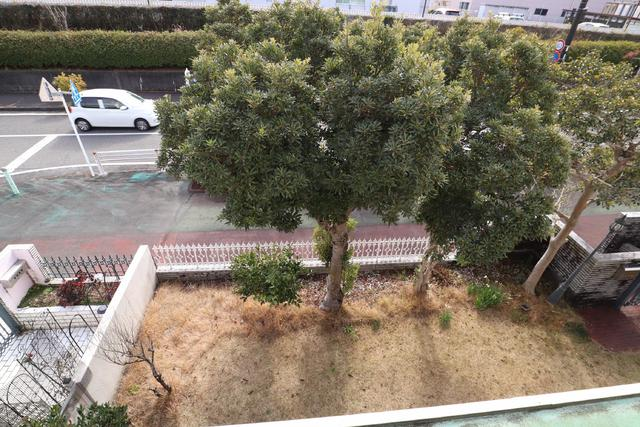 現況画像