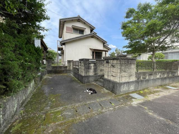 現況画像