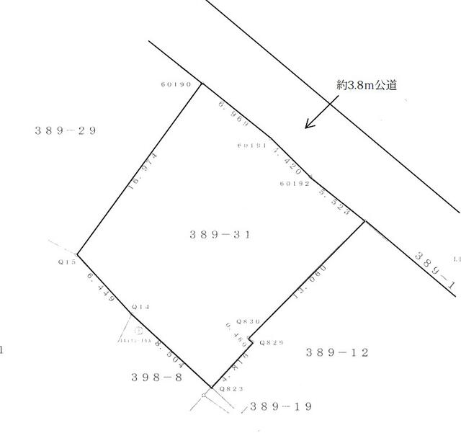 現況画像