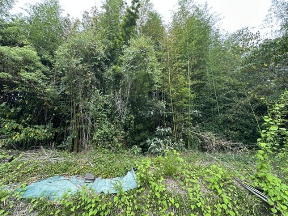 牧之原市大江 空き家・中古戸建 現況写真 3枚目